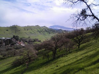 Picture of Walnut Creek