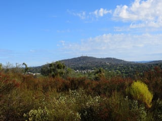 Picture of Cameron Park