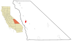 Picture of Lone Pine