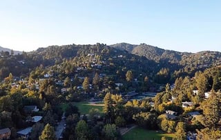 Picture of Mill Valley