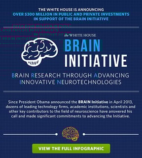 Picture of BRAIN Initiative