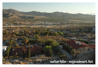 Picture of Yucca Valley