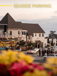 Picture of Del Mar