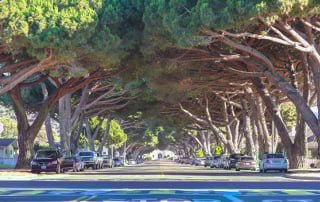 Picture of Lompoc