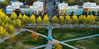 Picture of Windsor