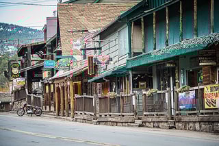 Picture of Evergreen