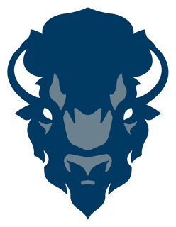Picture of Howard Bison