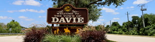 Picture of Davie