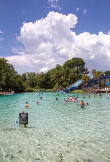 Picture of Weeki Wachee
