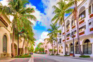 Picture of Palm Beach