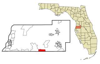 Picture of Wesley Chapel
