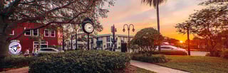 Picture of Dunedin