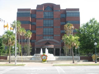 Picture of Albany