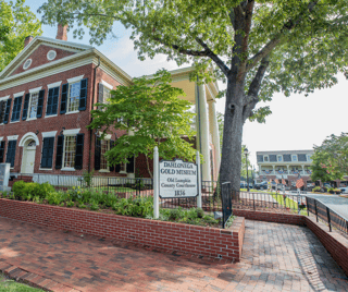 Picture of Dahlonega