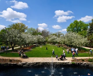 Picture of Lombard