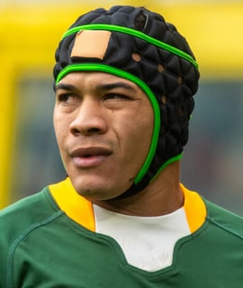 Picture of Cheslin Kolbe