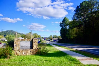 Picture of Livingston
