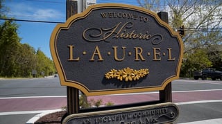 Picture of Laurel