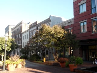 Picture of Salisbury