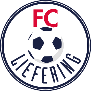 Picture of FC Liefering
