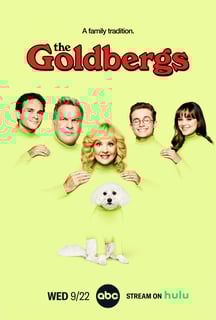Picture of The Goldbergs