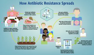 Picture of Antimicrobial resistance