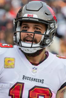 Picture of Mike Evans