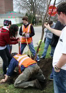 Picture of Arbor Day