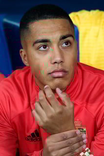 Picture of Youri Tielemans