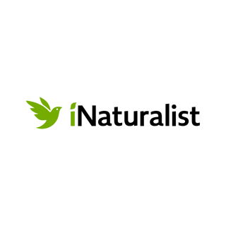 Picture of iNaturalist