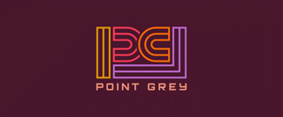 Picture of Point Grey Pictures