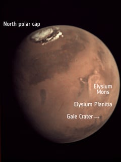 Picture of Elysium Planitia