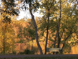 Picture of Monticello