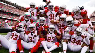 Picture of Arizona Cardinals