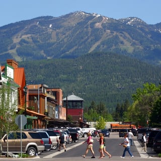 Picture of Whitefish