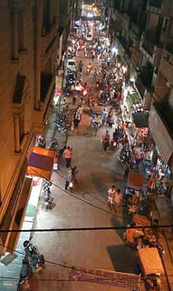 Picture of Palam