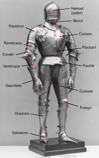 Picture of Armour