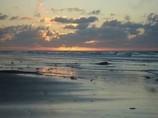 Picture of Wildwood
