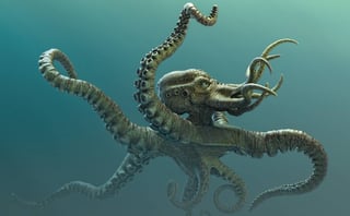 Picture of Kraken
