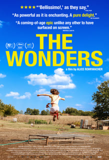 Picture of The Wonders