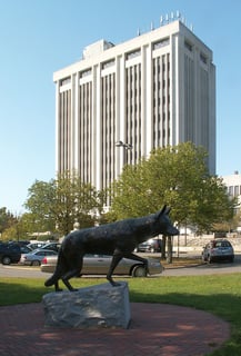 Picture of Hauppauge