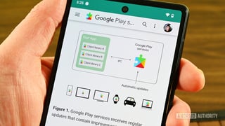Picture of Google Play Services