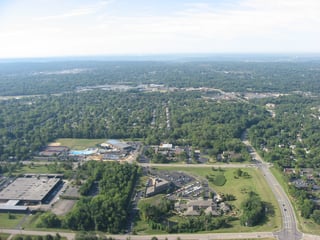 Picture of Blue Ash