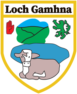 Picture of Gowna GFC