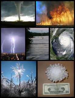 Picture of Storm