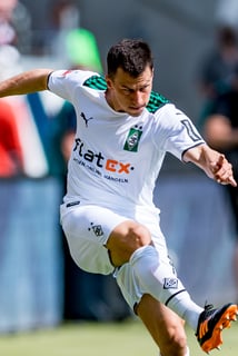 Picture of Stefan Lainer