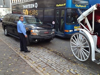 Picture of New Yorkers for Clean, Livable, and Safe Streets