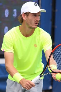 Picture of Wesley Koolhof