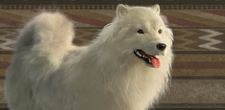 Hero image