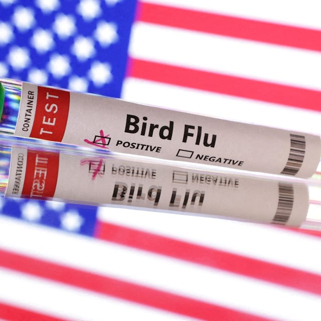 FILE PHOTO: Test tube is seen labelled "Bird Flu" in front of U.S. flag in this illustration taken, June 10, 2024. REUTERS/Dado Ruvic/Illustration/File Photo/File Photo